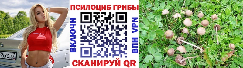 кракен вход  сайты даркнета телеграм  Псилоцибиновые грибы ЛСД  Пионерский 