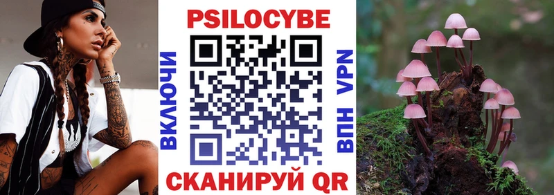 Галлюциногенные грибы Cubensis Пионерский